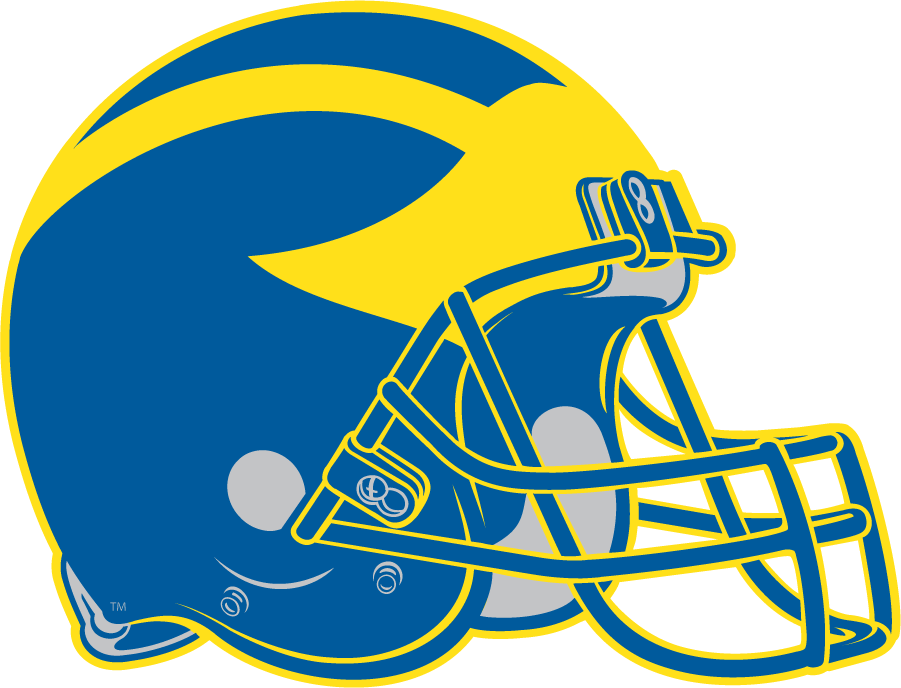 Delaware Blue Hens 1999-2008 Helmet Logo t shirts iron on transfers
